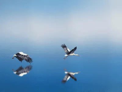 Beyond Trauma Course