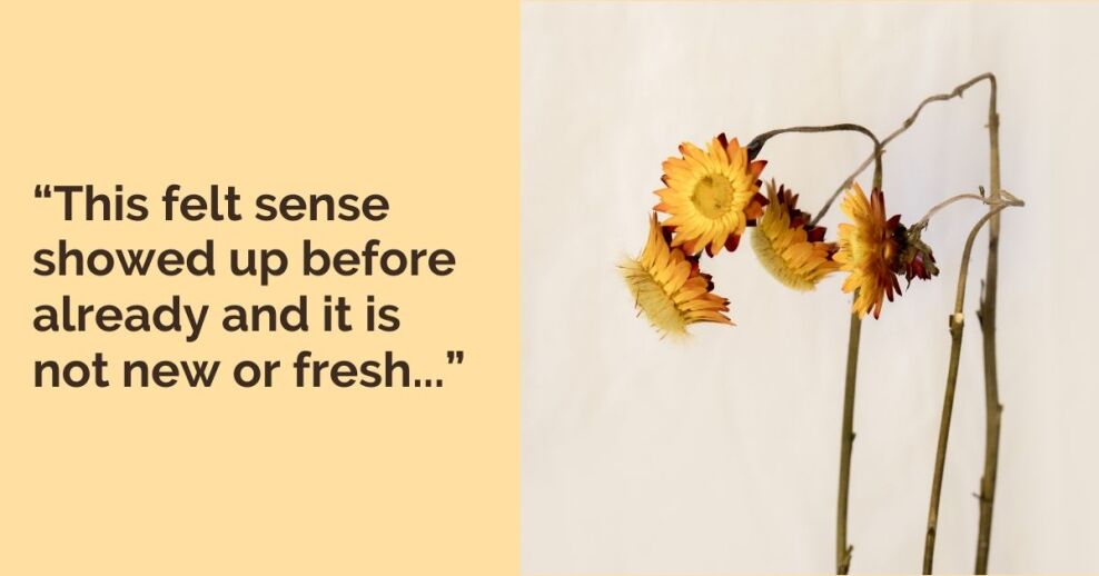 “This felt sense showed up before already and it is not new or fresh...”