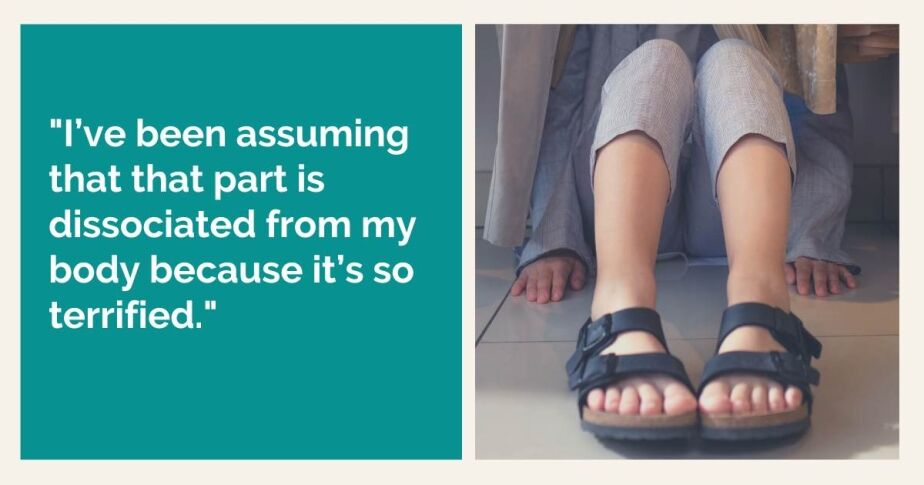 If you can't feel a part that you know is there, is that because it's hiding? Or is something hiding it? Read on... "I’ve been assuming that that part is dissociated from my body because it’s so terrified."