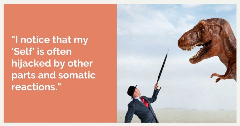 "I notice that my 'Self' is often hijacked by other parts and somatic reactions."