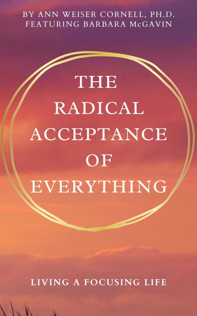The Radical Acceptance of Everything