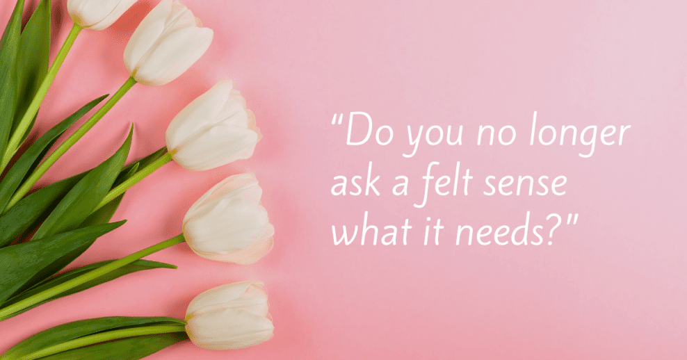 How do you create a compassionate relationship with something that you feel?