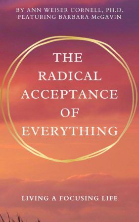The Radical Acceptance of Everything