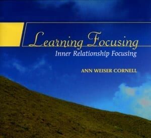 Learning Focusing Audio Set