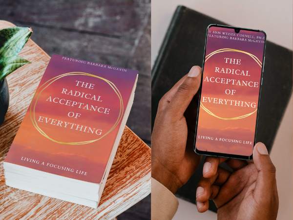 The Radical Acceptance of Everything ebook and paperback