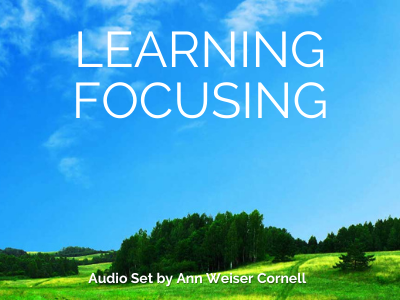 Learning Focusing Audio Set