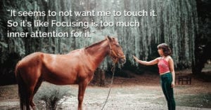 Focusing Tip #608 – Focusing is too much inner attention