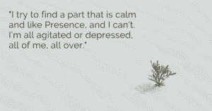 "I try to find a part that is calm and like Presence, and I can’t. I’m all agitated or depressed, all of me, all over."