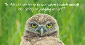 Do you find yourself stressed by how infuriating other people are? Read on...