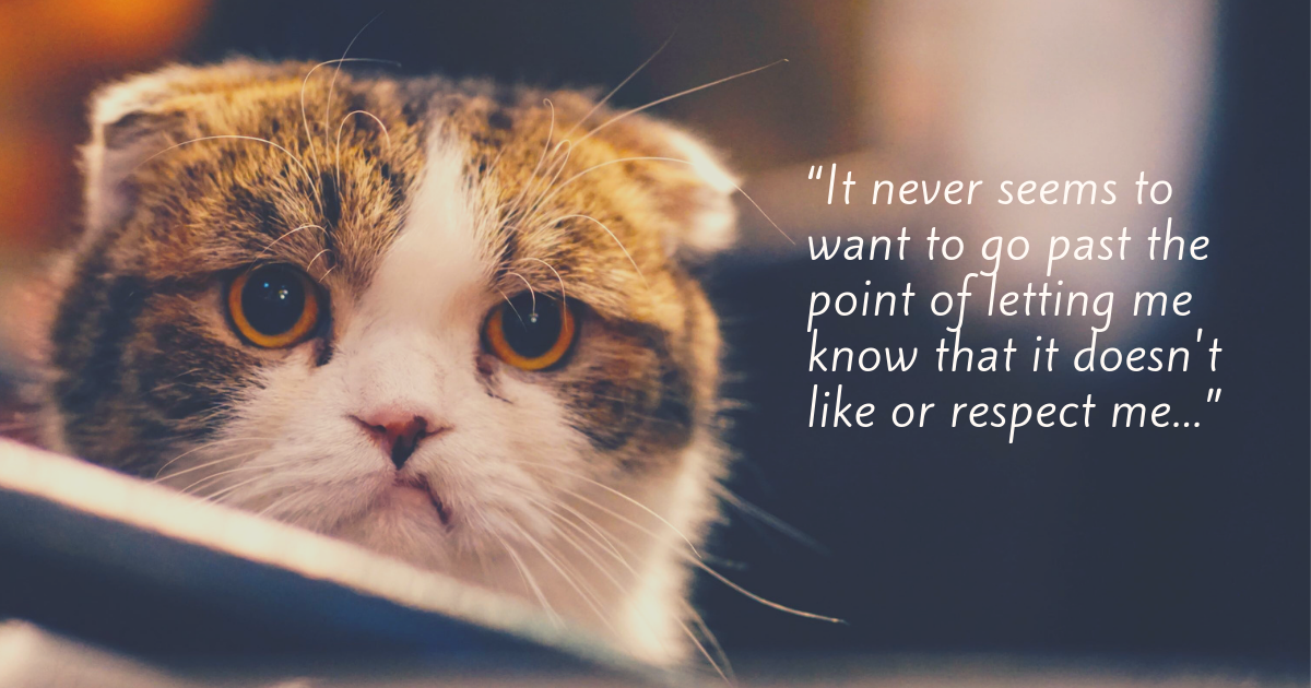 “It never seems to want to go past the point of letting me know that it doesn't like or respect me. ...”