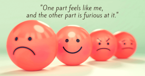 Focusing Tip #708 – One part feels like me, and the other part is furious at it