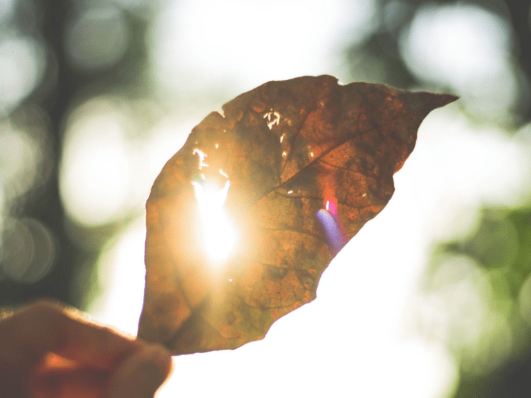 Navigating Loss and Change