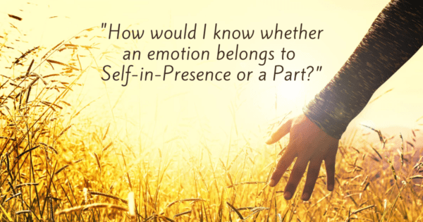 Focusing Tip #714 – Does my emotion belong to Self-in-Presence or a Part?