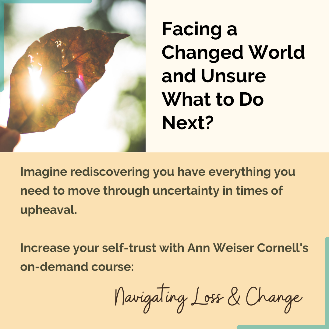 Navigating Loss and Change