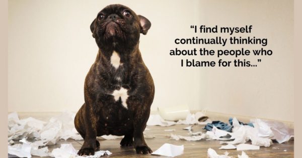 Focusing Tip #762 – “I blame other people for the mess we’re in”