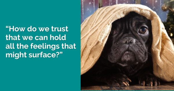 Focusing Tip #837 – “How do I trust that I can hold all the feelings that may come?”