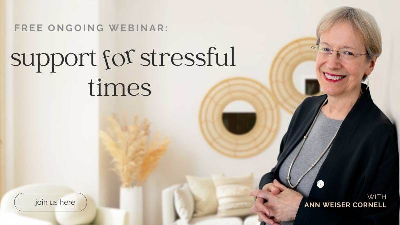 Support for Stressful Times with Ann Weiser Cornell