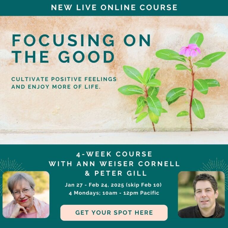 Focusing on the Good course with Ann Weiser Cornell and Peter Gill. 