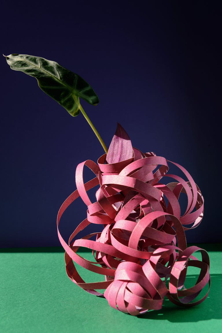Creative studio shot featuring a green leaf with pink twisted ribbons against a dark background.