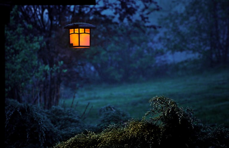 Serene outdoor night scene with a glowing lamp illuminating foggy woods.
