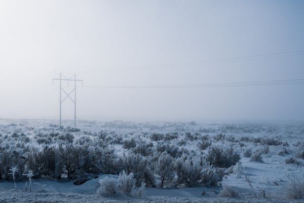 A serene winter scene with fog and frosty vegetation in Boise, Idaho.