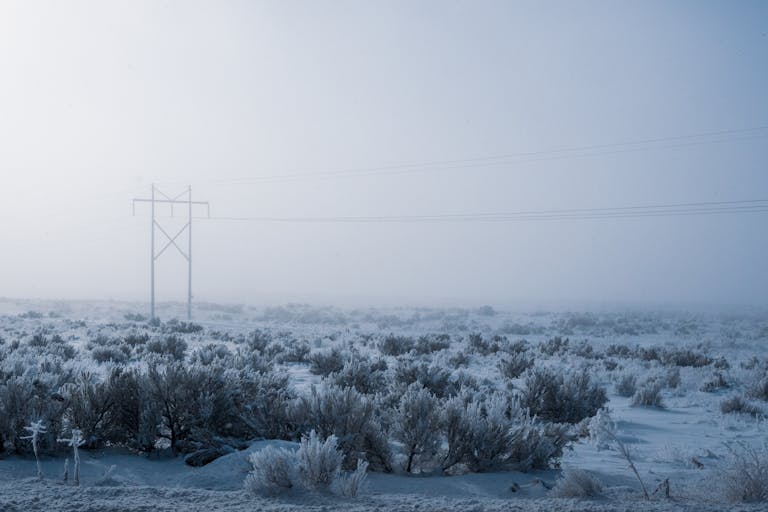 A serene winter scene with fog and frosty vegetation in Boise, Idaho.