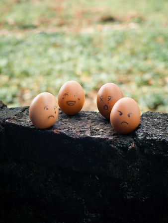 Four brown eggs with hand-drawn funny faces on a stone ledge, creating a playful outdoor scene.