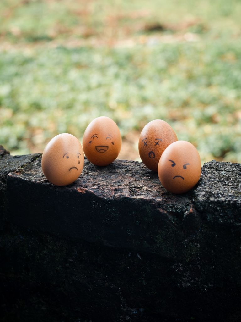 Four brown eggs with hand-drawn funny faces on a stone ledge, creating a playful outdoor scene.